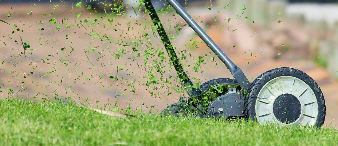 The Ultimate Guide to Maintaining Your Lawn: Because The Grass Is Always Greener On The Side That Gets Mowed