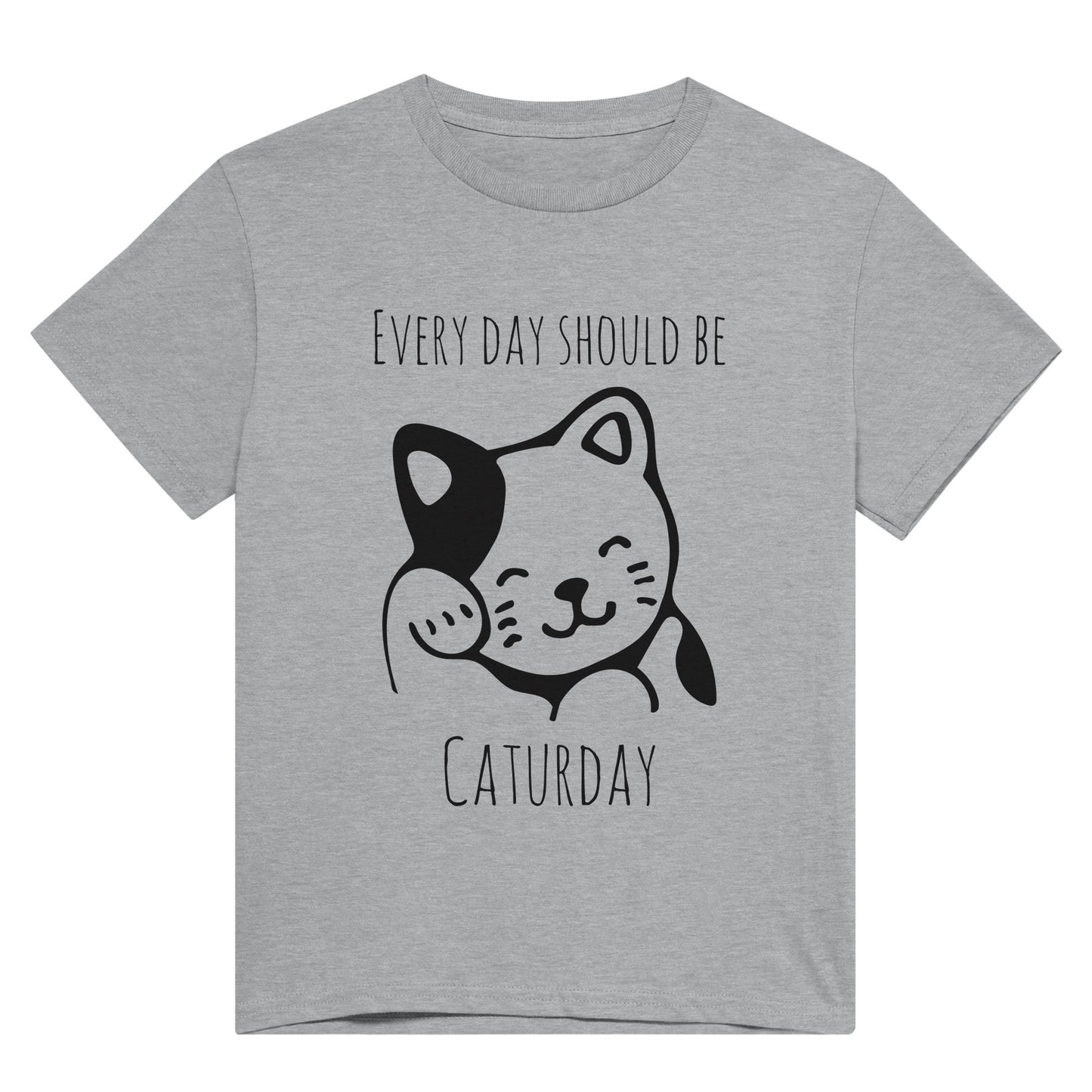 Light grey t shirt with the pun, "Every day should be Caturday" and an image of a grooming cat on it in black.